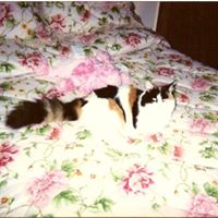 Betty Toth Photo 6