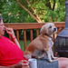 Tj Wilson Photo 39