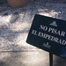 Antonio Milanes Photo 15