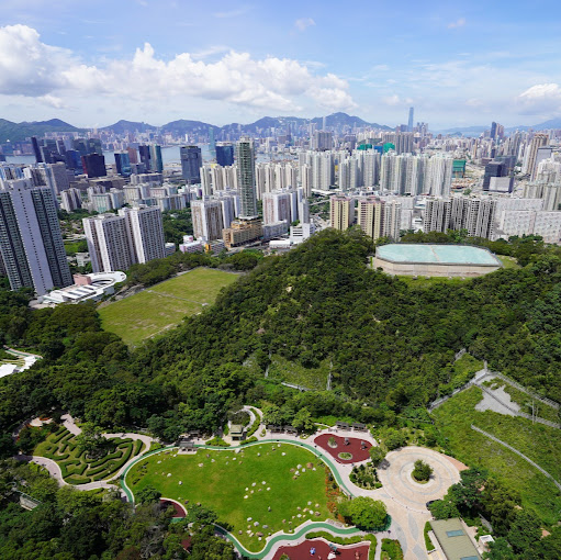 Hong Fu Photo 11