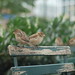 Jim Tsao Photo 19