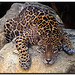 Jeff Dreher Photo 16