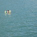 Cathy Sanders Photo 38