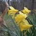 Mary Bly Photo 30