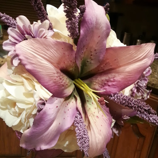 Karen Dotter Photo 2