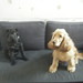 Murphy Bailey Photo 18