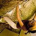 Carl Nicks Photo 19