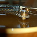 Ted Mccarty Photo 21