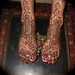 Lynn Stern Photo 26