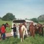 David Maxfield Photo 30