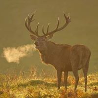 Steven Leishman Photo 3