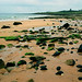 Thomas Currey Photo 23