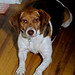 Lucy Rhodes Photo 41