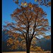 Janice Koch Photo 35
