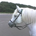 Tasha Wilson Photo 40