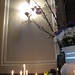 Katherine Albert Photo 41