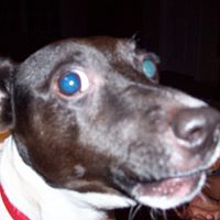 Gary Spindler Photo 6