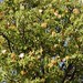 Kimberley Bloom Photo 17