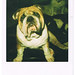 Megan Thurston Photo 30