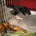Wanda Parker Photo 42