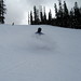Joshua Roche Photo 35