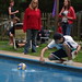 Steven Getz Photo 35