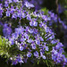 Rosemary Kern Photo 14