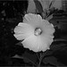 Jennifer Grubb Photo 44