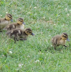 Chris Slusher Photo 10