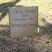 Cecil Brown Photo 41