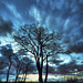 Joshua Pace Photo 35