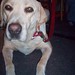 Sandy Tucker Photo 47