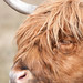Kevin Rees Photo 33