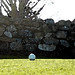 Birdie Taylor Photo 24