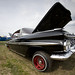 Kevin Meara Photo 15