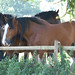 Noel Bell Photo 37