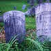 Mary Fredericks Photo 32