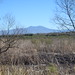 Nancy Kenyon Photo 29