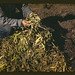 Russell Bean Photo 25