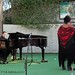 Zahira Torres Photo 22