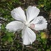 Kathleen Ong Photo 27