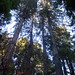Franklin Muir Photo 14