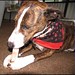 Betty Grogan Photo 19