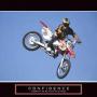 Steven Shell Photo 25