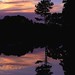 Dawn Lincoln Photo 35