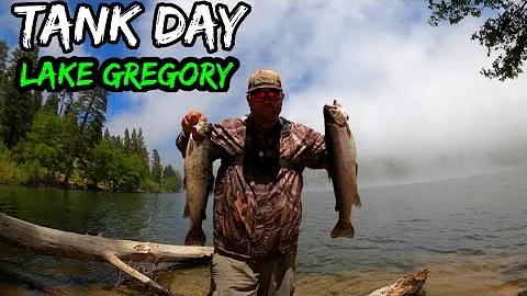 Gregory Trout Photo 10