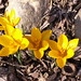 Nancy Kent Photo 38