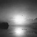 Brian Strachan Photo 39
