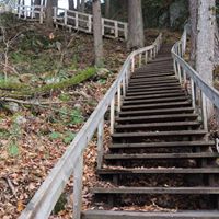 Don Grant Photo 4