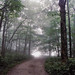 Misty Boone Photo 34